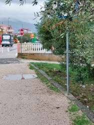 Photo of this report